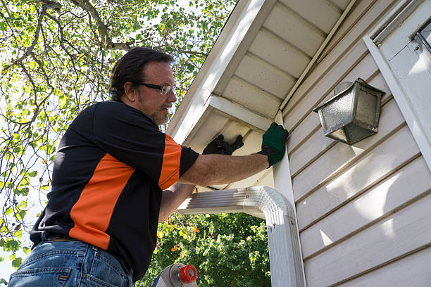  Andrews, SC Siding Installation Pros